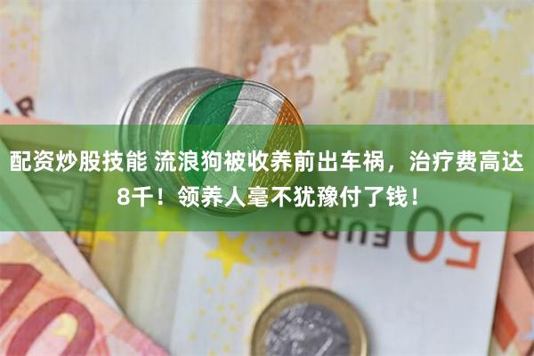 配资炒股技能 流浪狗被收养前出车祸，治疗费高达8千！领养人毫不犹豫付了钱！