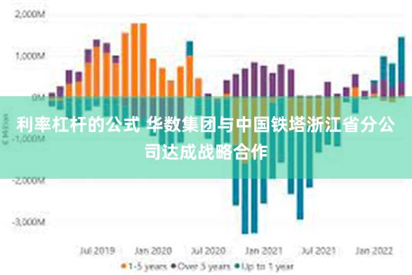 利率杠杆的公式 华数集团与中国铁塔浙江省分公司达成战略合作