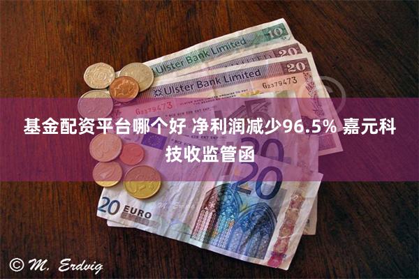 基金配资平台哪个好 净利润减少96.5% 嘉元科技收监管函