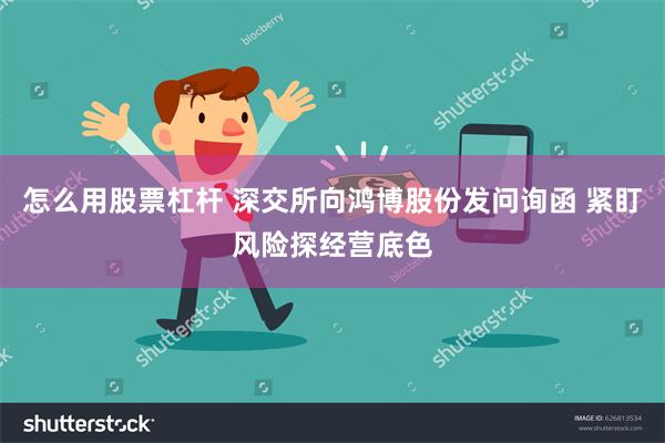 怎么用股票杠杆 深交所向鸿博股份发问询函 紧盯风险探经营底色