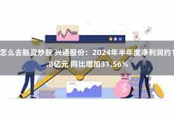 怎么去融资炒股 兴通股份：2024年半年度净利润约1.8亿元 同比增加31.56%