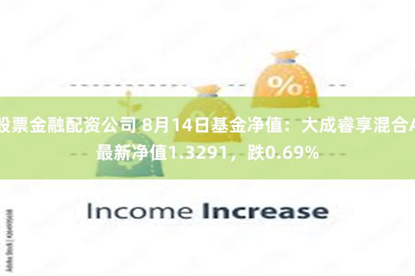 股票金融配资公司 8月14日基金净值：大成睿享混合A最新净值1.3291，跌0.69%