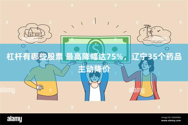 杠杆有哪些股票 最高降幅达75%，辽宁35个药品主动降价