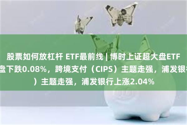 股票如何放杠杆 ETF最前线 | 博时上证超大盘ETF(510020)早盘下跌0.08%，跨境支付（CIPS）主题走强，浦发银行上涨2.04%