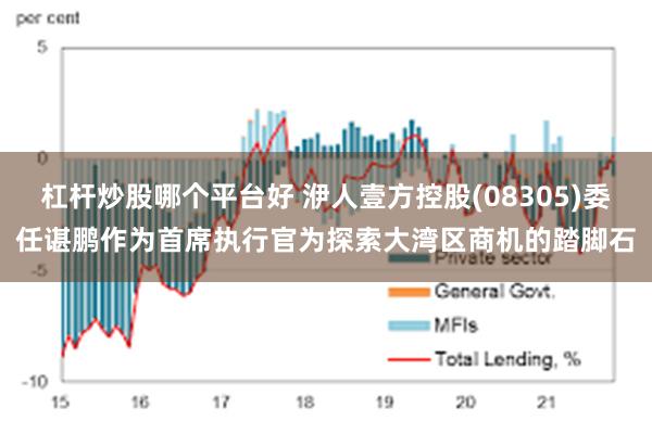 杠杆炒股哪个平台好 洢人壹方控股(08305)委任谌鹏作为首席执行官为探索大湾区商机的踏脚石