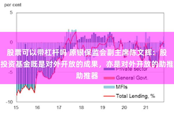 股票可以带杠杆吗 原银保监会副主席陈文辉：股权投资基金既是对外开放的成果，亦是对外开放的助推器