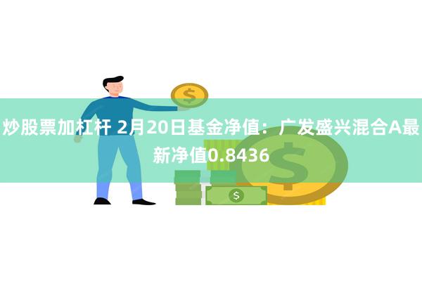 炒股票加杠杆 2月20日基金净值：广发盛兴混合A最新净值0.8436