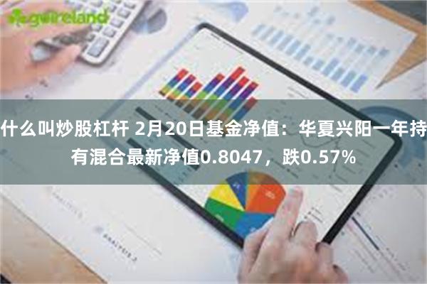 什么叫炒股杠杆 2月20日基金净值：华夏兴阳一年持有混合最新净值0.8047，跌0.57%