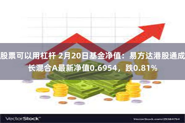 股票可以用杠杆 2月20日基金净值：易方达港股通成长混合A最新净值0.6954，跌0.81%