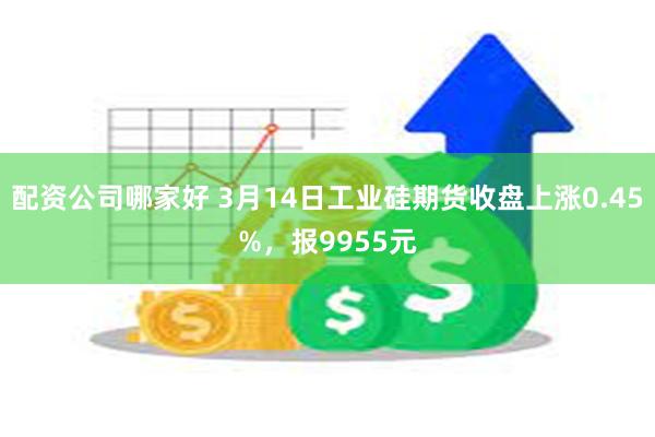 配资公司哪家好 3月14日工业硅期货收盘上涨0.45%，报9955元